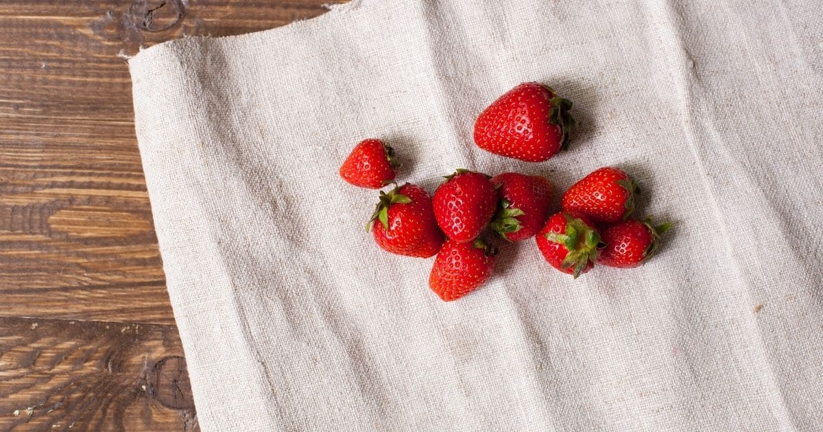 Strawberries drying on a cloth