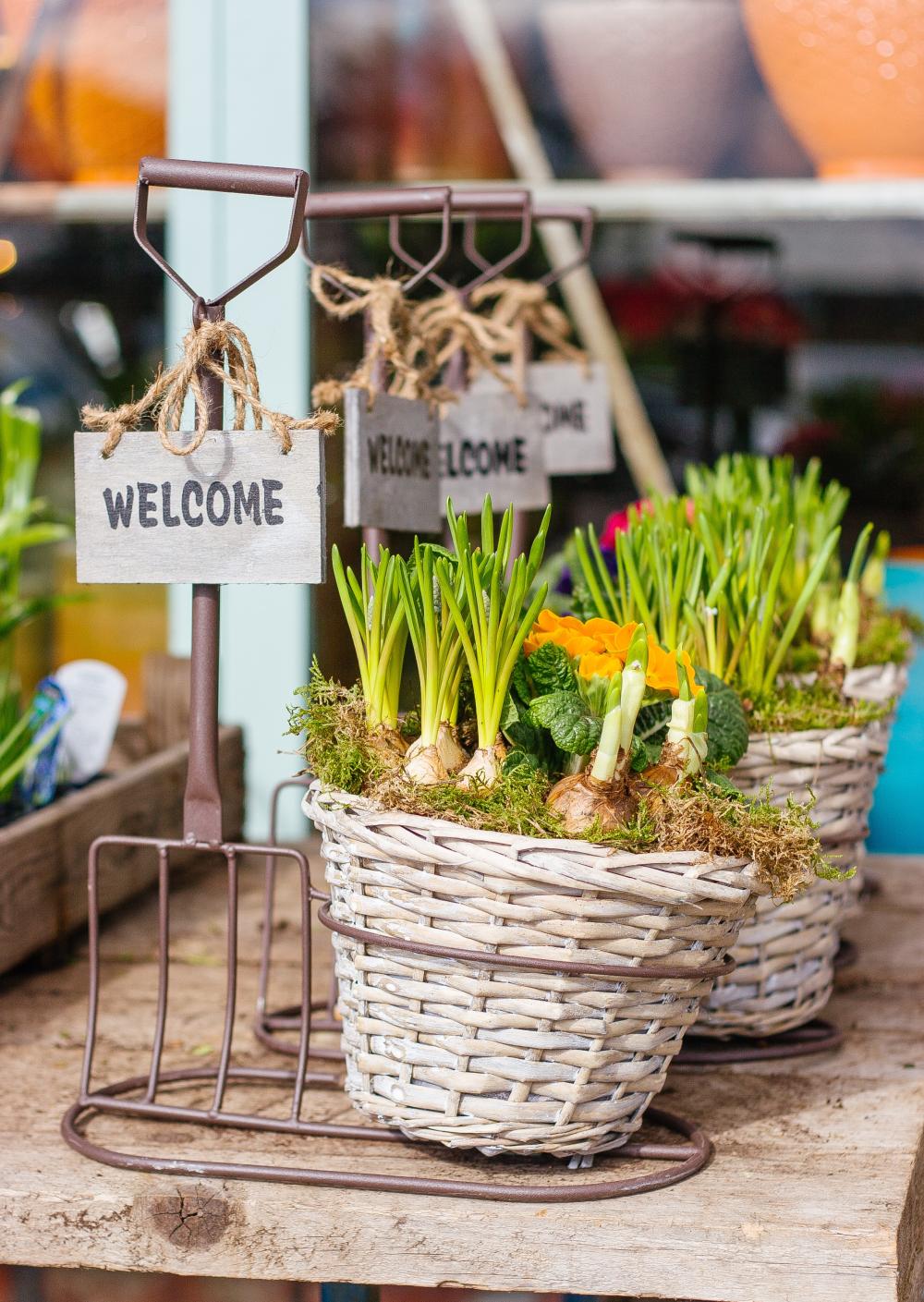 Veggie decor with welcome signs 