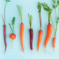 Carrot types (1)