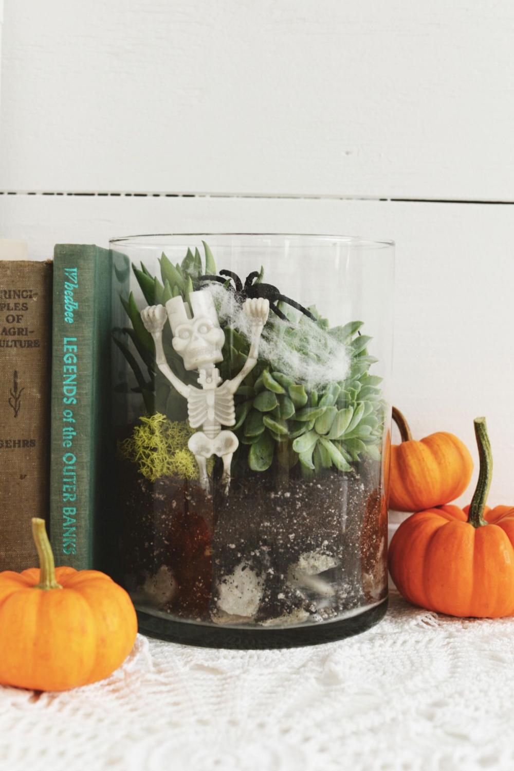 Diy halloween decor diy spooky halloween terrarium