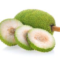 Breadfruit varieties