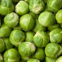 Brussel sprouts varieties