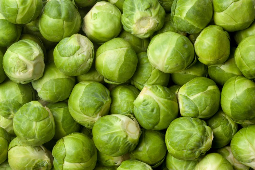 Brussel sprouts varieties