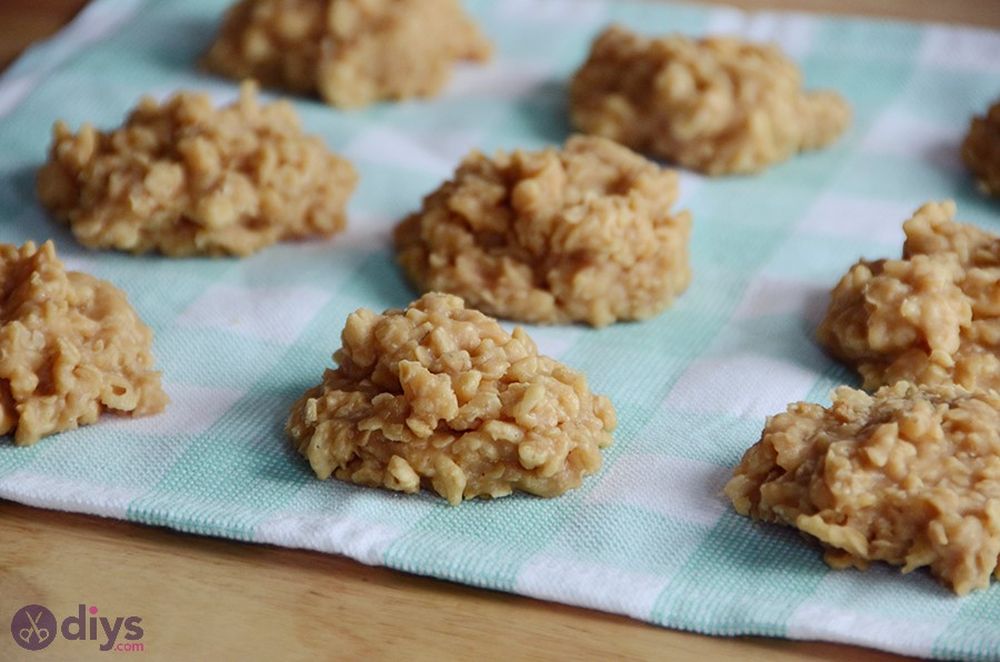 Finger foods for party peanut butter no bake cookies