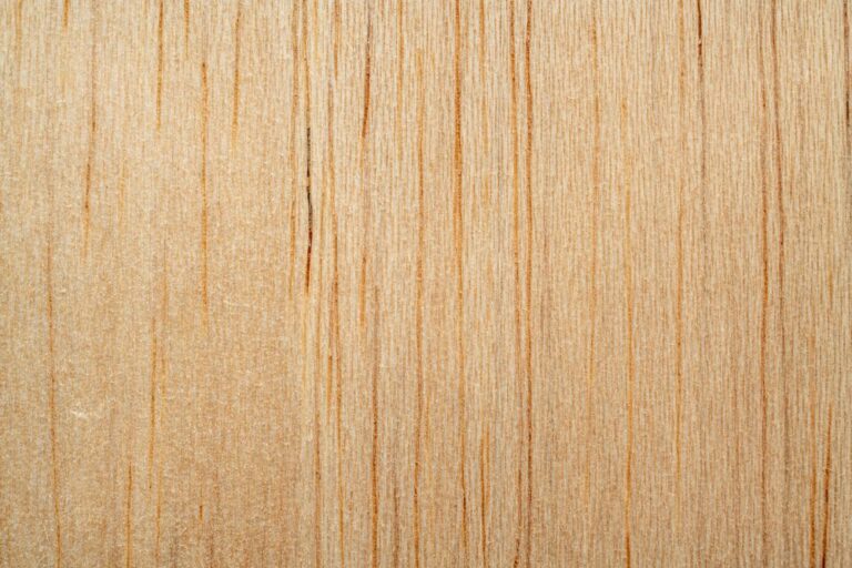 Balsa Wood Examples Types of Wood: Choosing the Best Wood for Your Construction Project