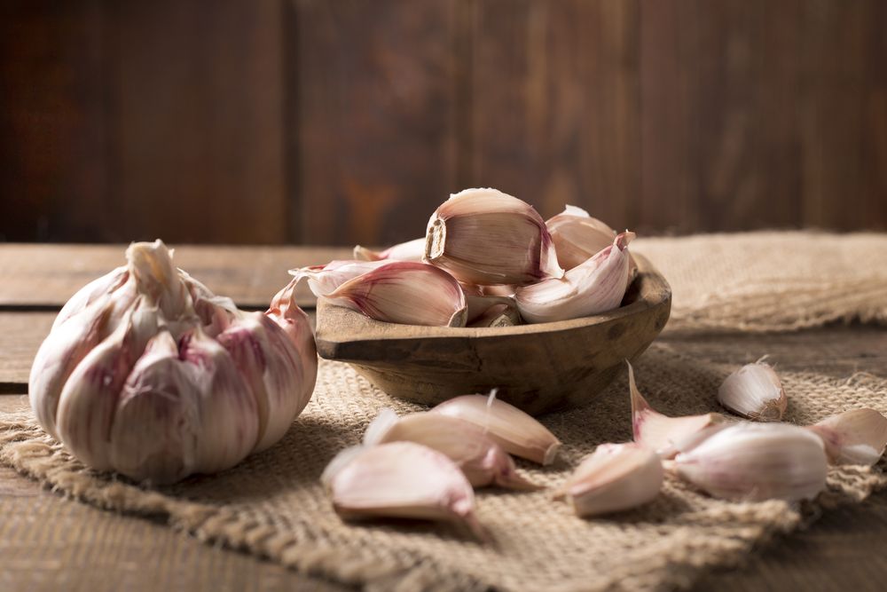 Garlic types artichoke garlic