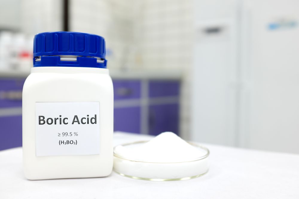 Gnats home remedies boric acid