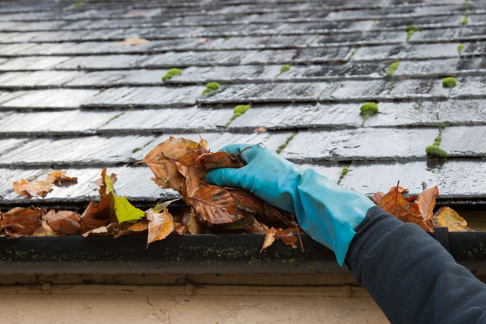 Gutter cleaning know how