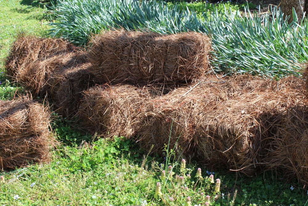 Pine straw mulch tips