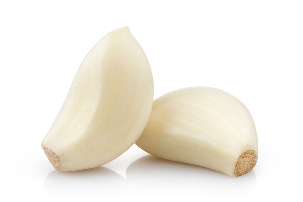 Types of garlic porcelain garlic