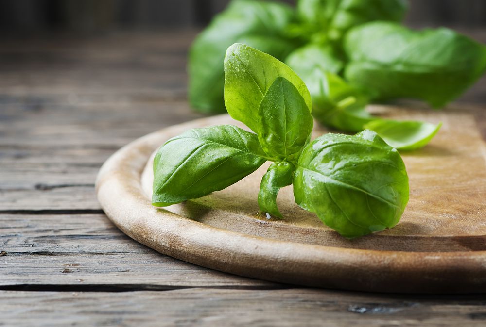Basil substitutes for thyme