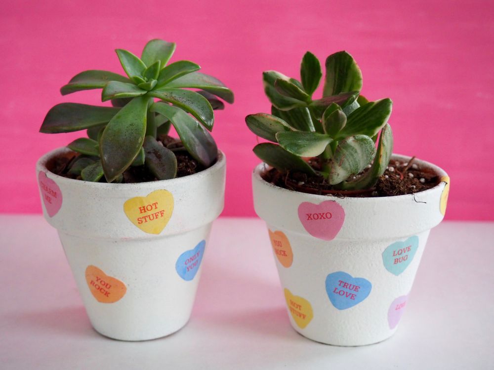 Diy candy heart plant pots