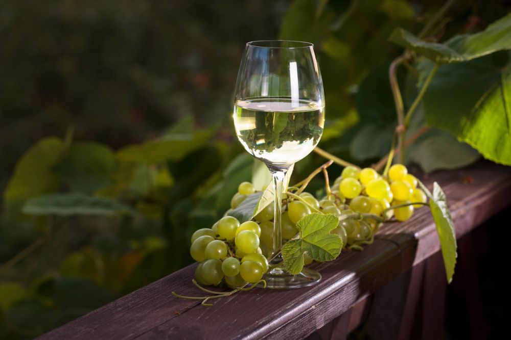 Dry white wine for cooking