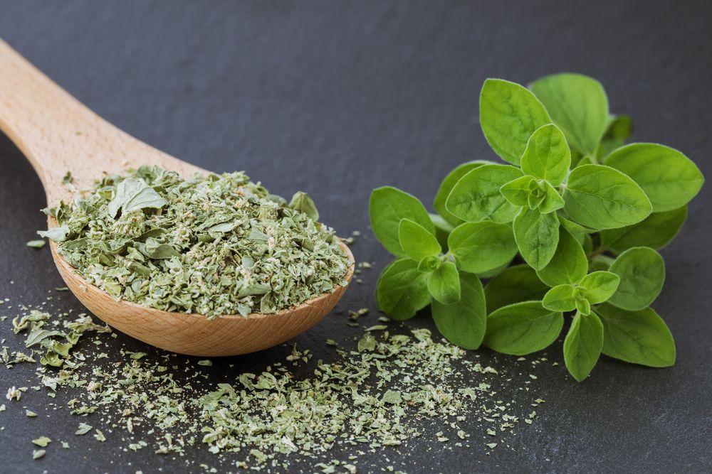Marjoram - substitute for thyme