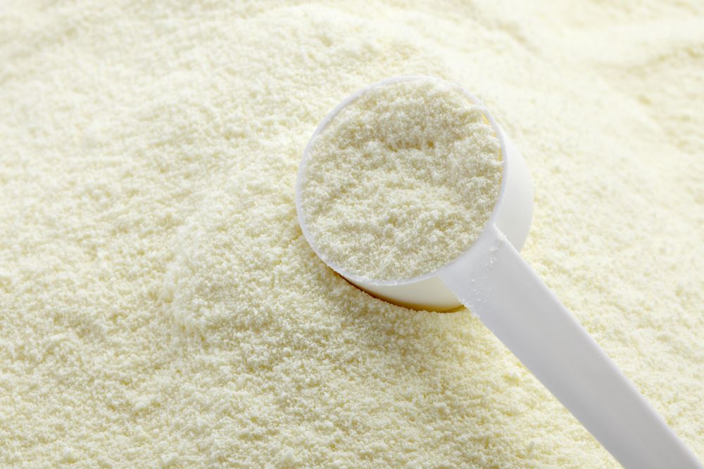 Powdered milk substitute for evaporated milk