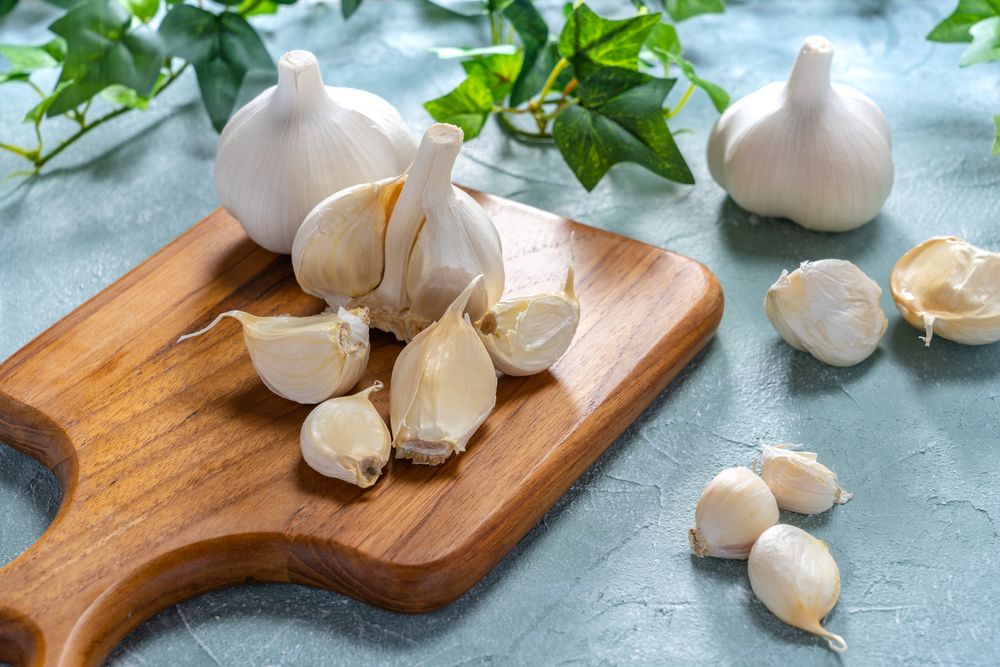 Store garlic fridge