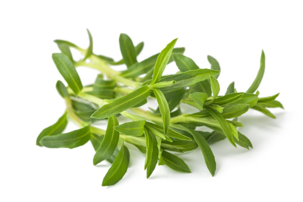Summer savory substitutes for thyme