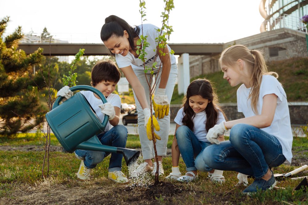 Things to consider when planting trees