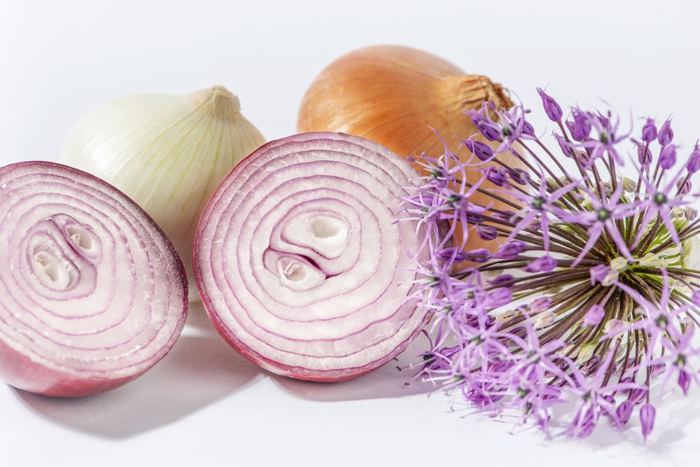 onion types