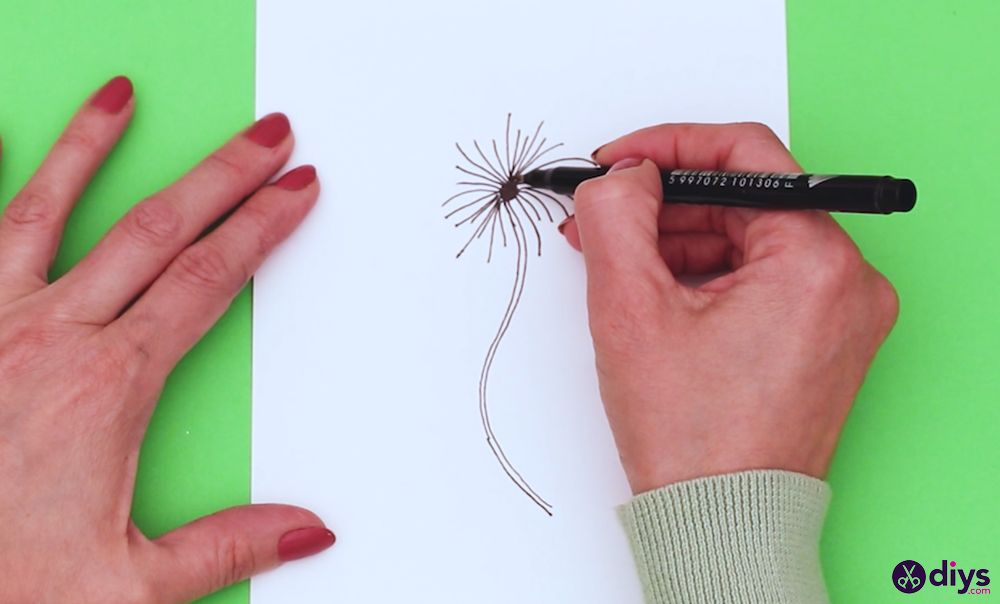 How to draw a dandelion (3)