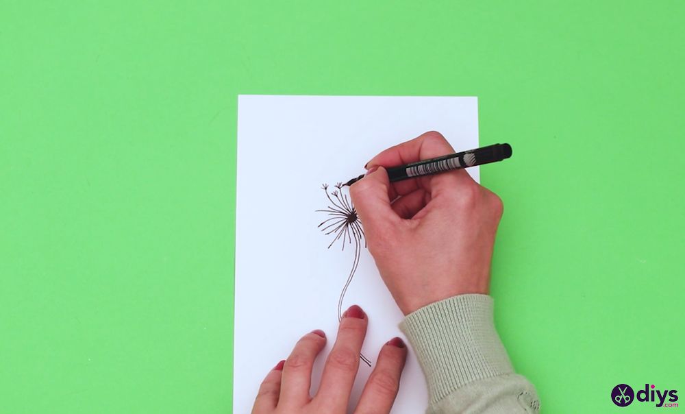 How to draw a dandelion (4)
