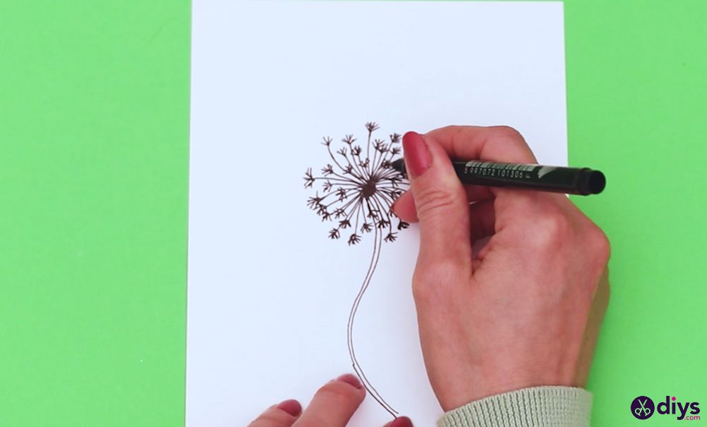 How to draw a dandelion (5)