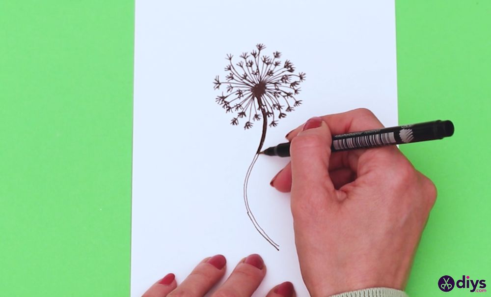 How to draw a dandelion (6)