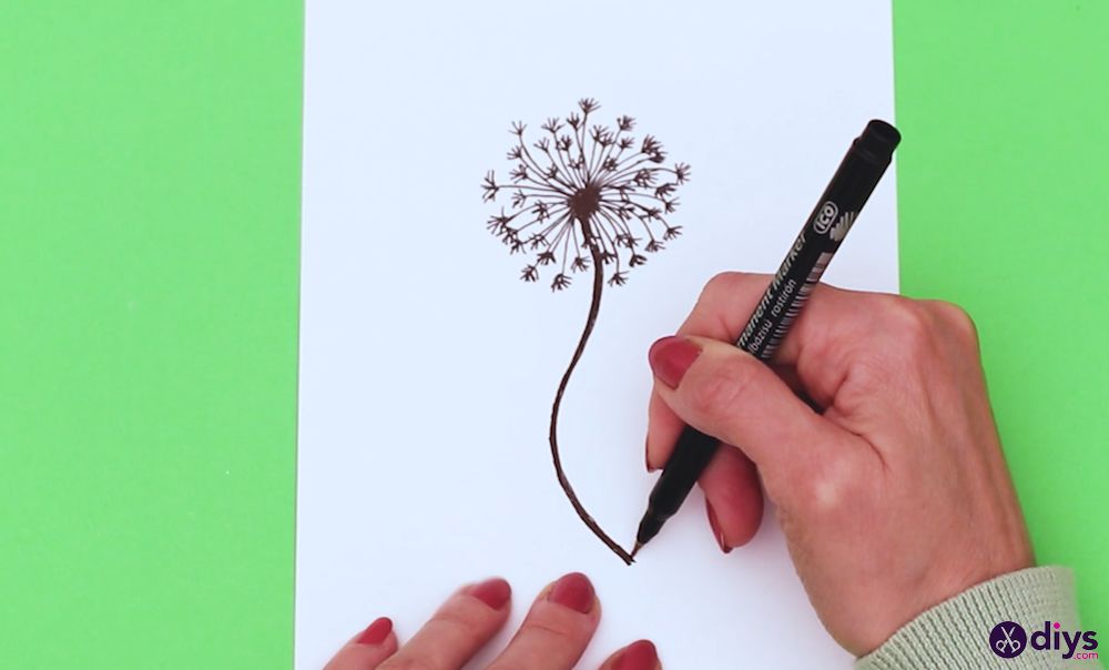 How to draw a dandelion (7)