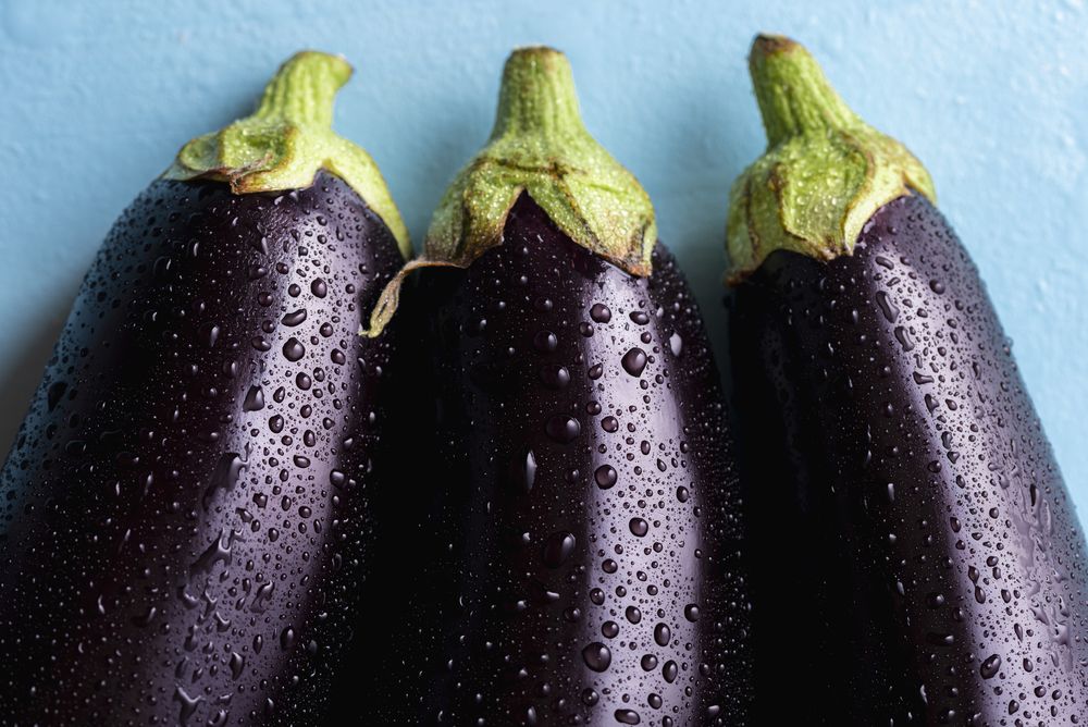How to store eggplant where does eggplant comes from