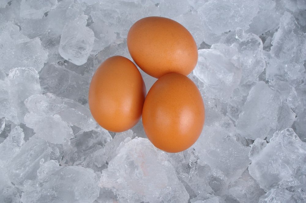 Ice in eggs