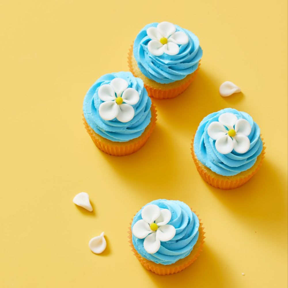 Sandwort flower cupcakes with blue icing