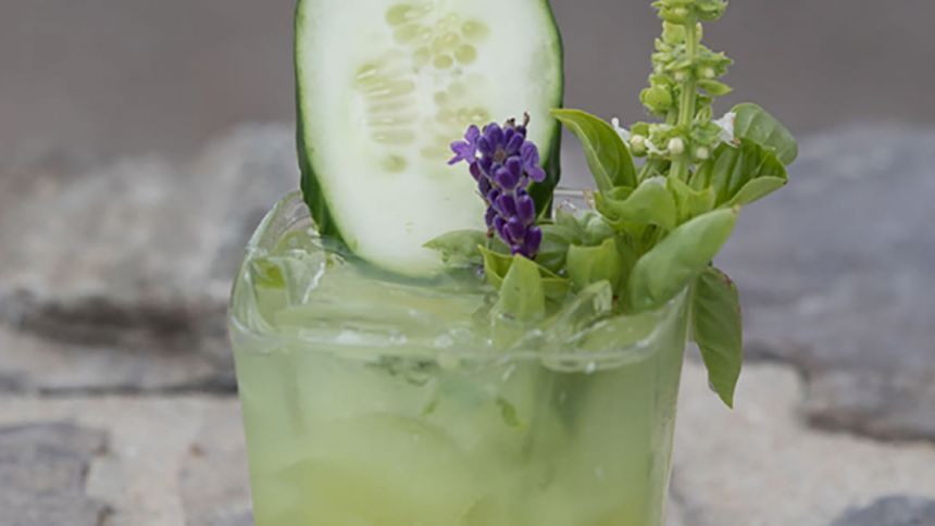 Green garden cocktail