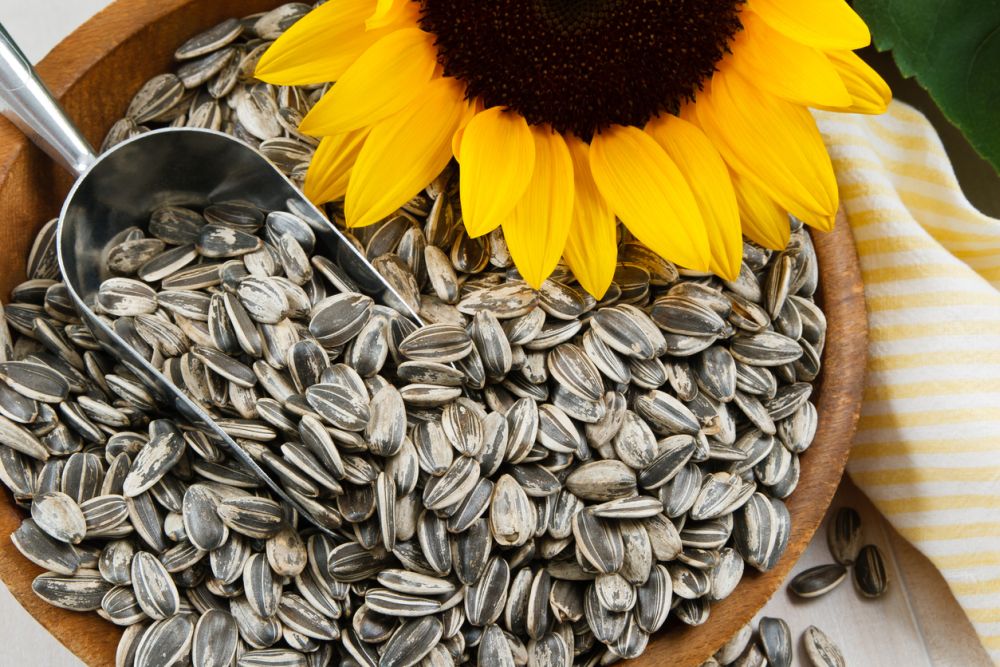 Substitutes for pine nuts sunflower seeds