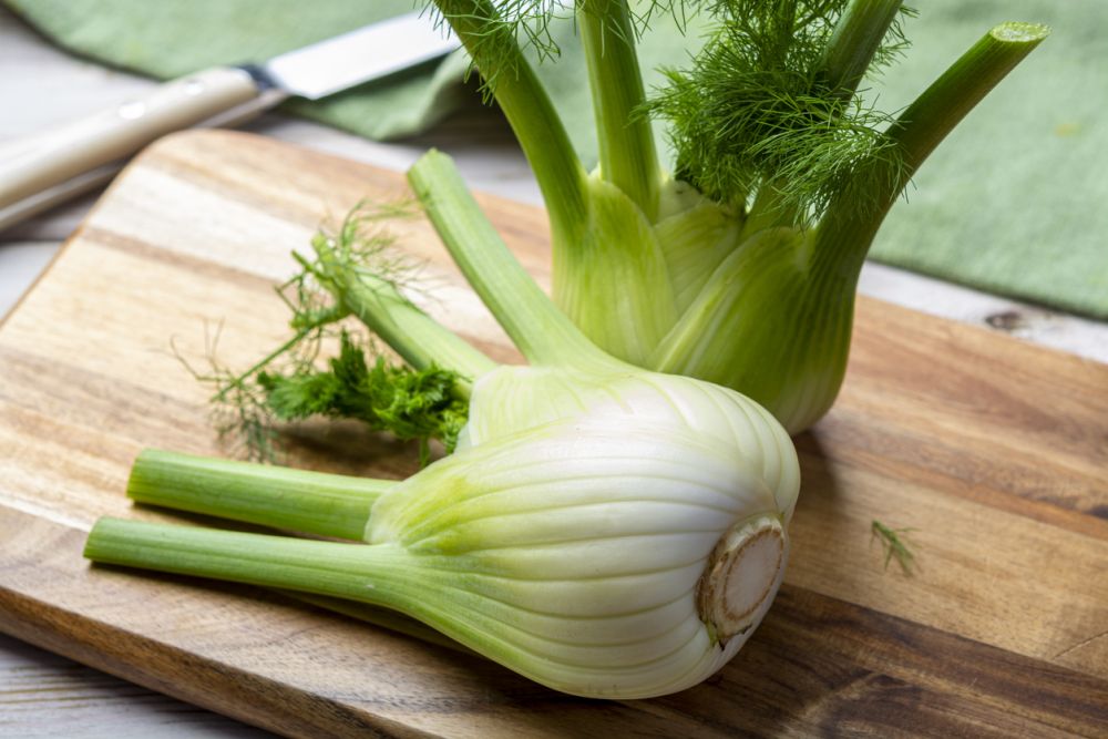 substitute for fennel