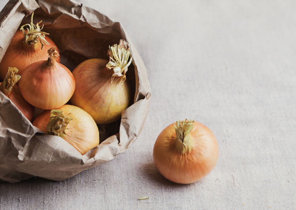 Onions as fennel substitutes