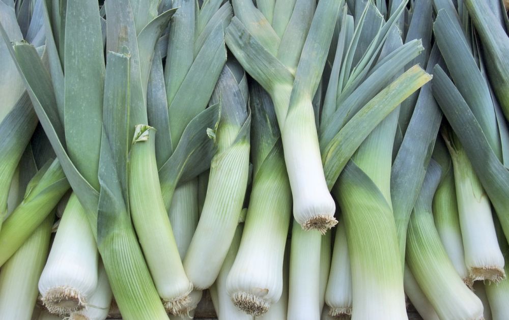 Leeks as a substitute for chives