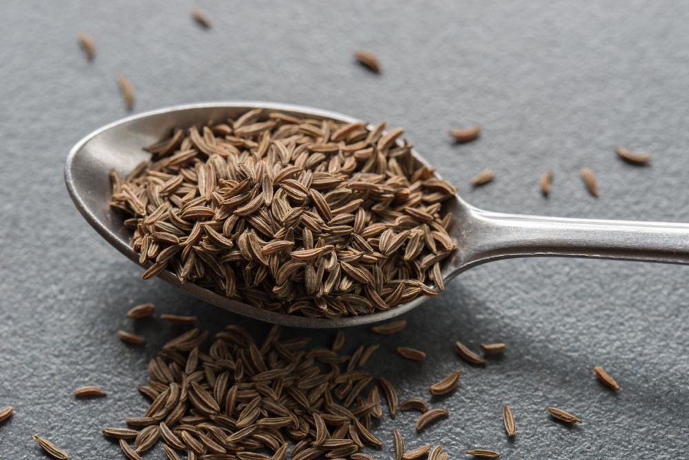 Substitute for Caraway Seeds: 11 Best Alternatives