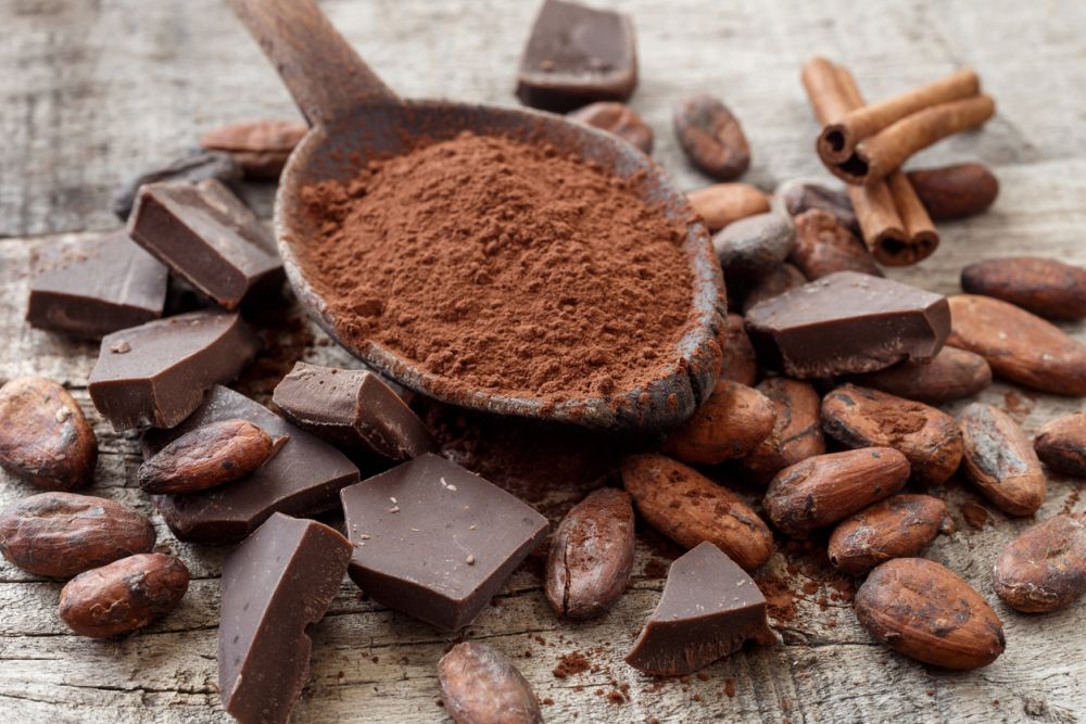 Substitute for cocoa powder