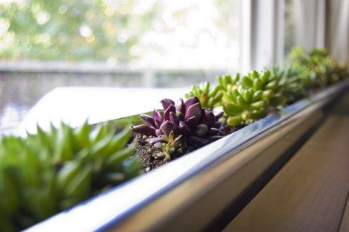Diy aluminum gutter window box for succulents